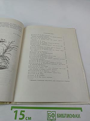 В Берёзовой Роще