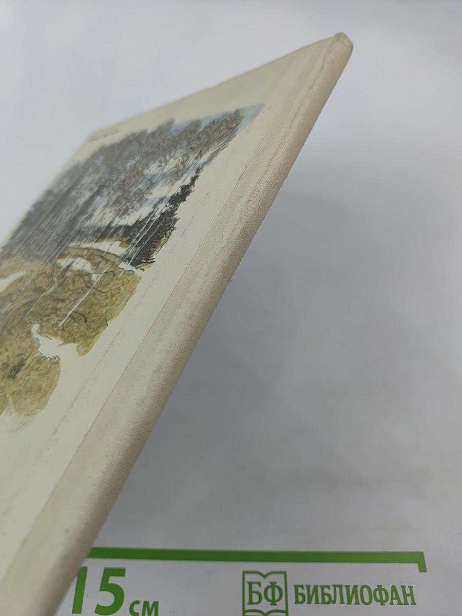 В Берёзовой Роще