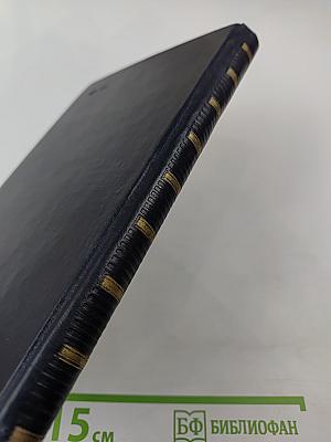 Кортико-висцеральная теория патогенеза язвенной болезни