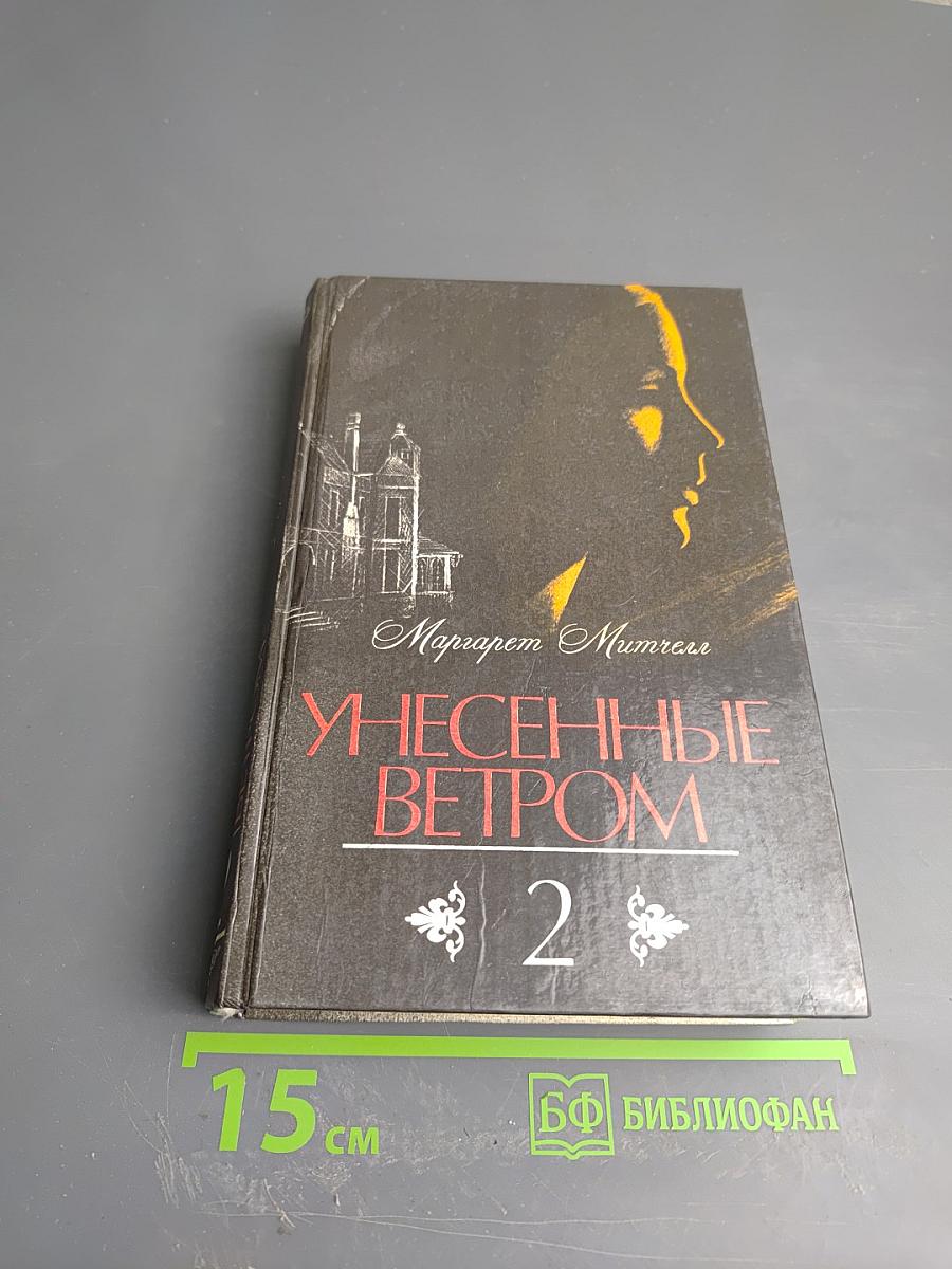 Унесенные ветром. Том 2