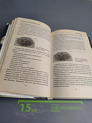 Зеленый чай: философия жизни