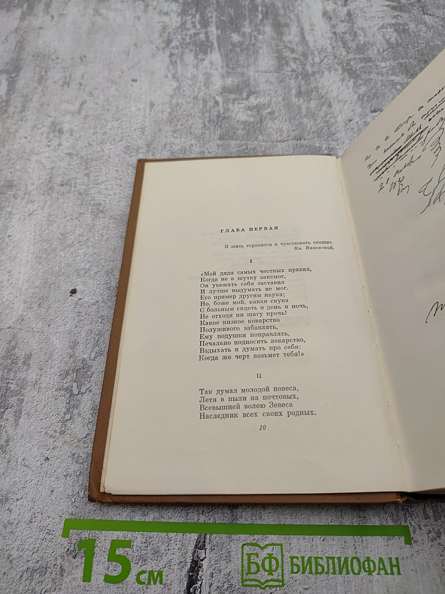 Собрание сочинений. Том четвертый. Евгений Онегин. Драматические произведения