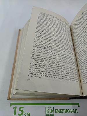 Радость встреч