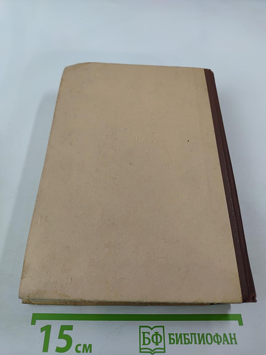 Радость встреч