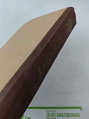 Радость встреч