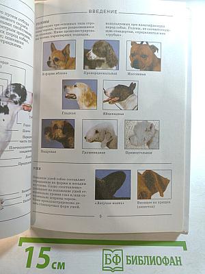 Породы собак. Справочник-определитель