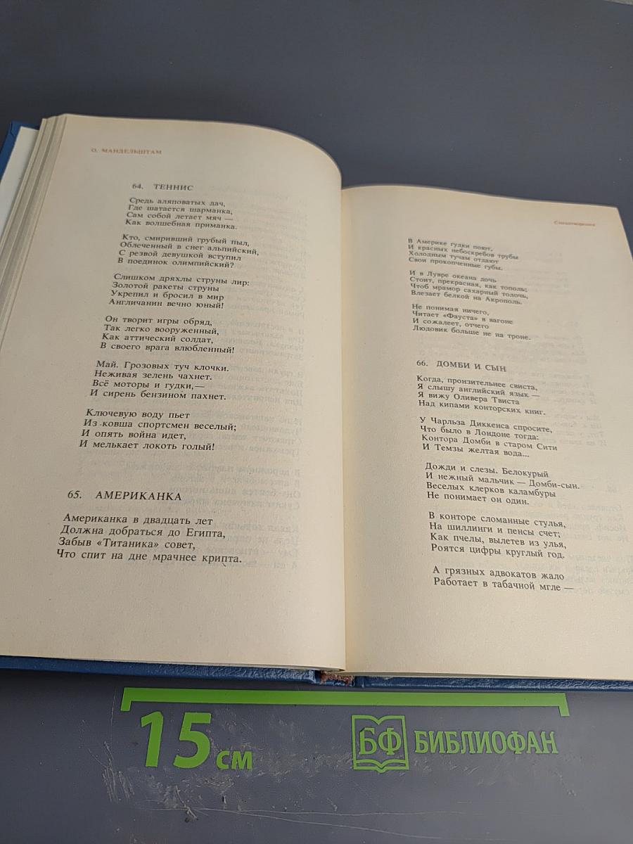 Стихотворения, переводы, очерки, статьи Осипа Мандельштама