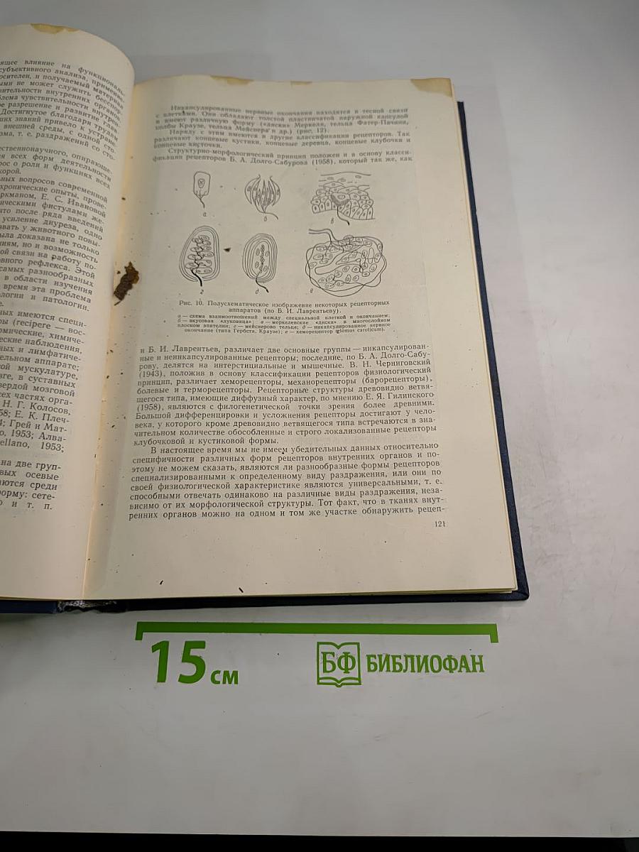 Кортико-висцеральная патология