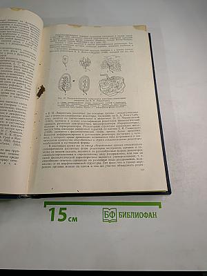 Кортико-висцеральная патология