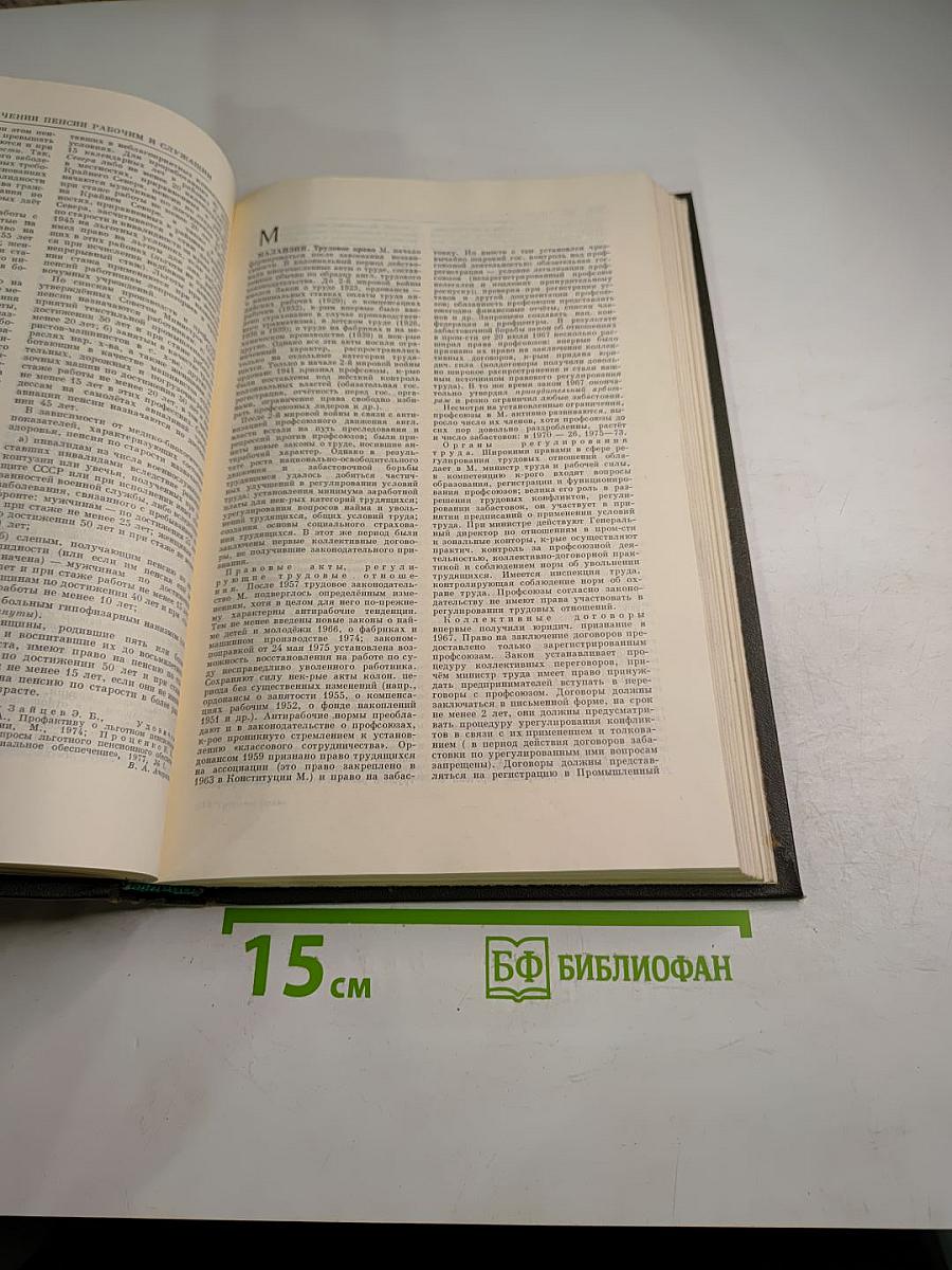 Трудовое право. Энциклопедический словарь