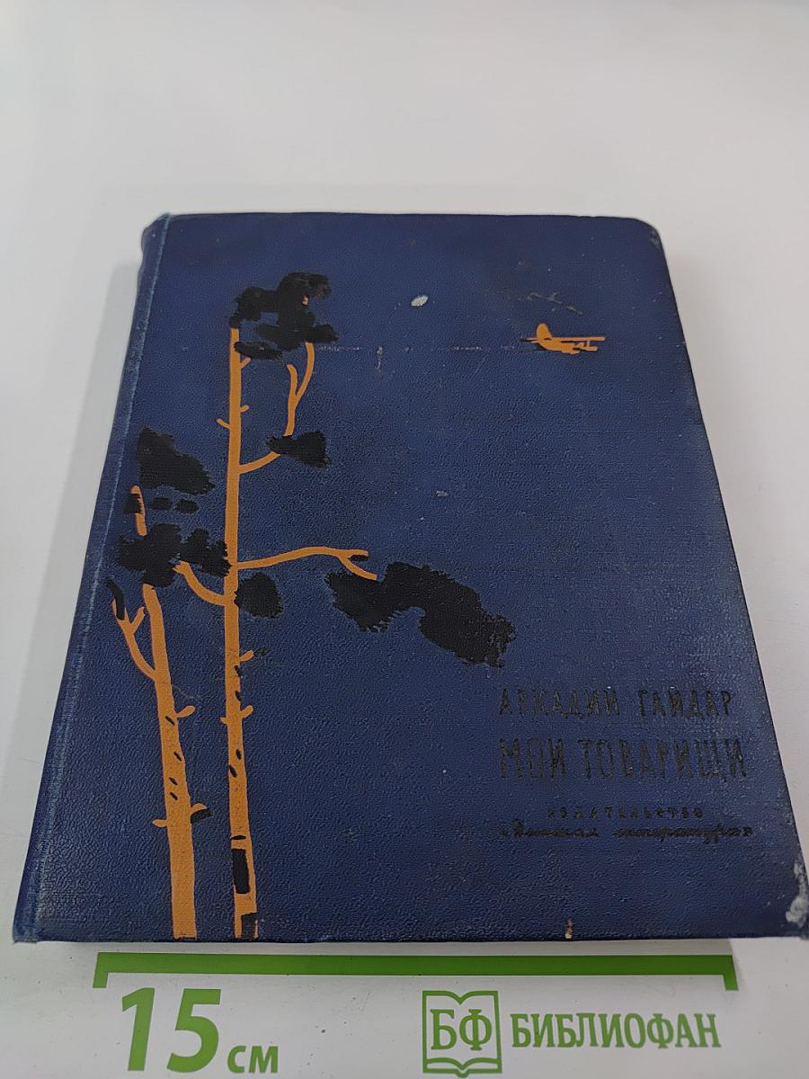 Мои товарищи