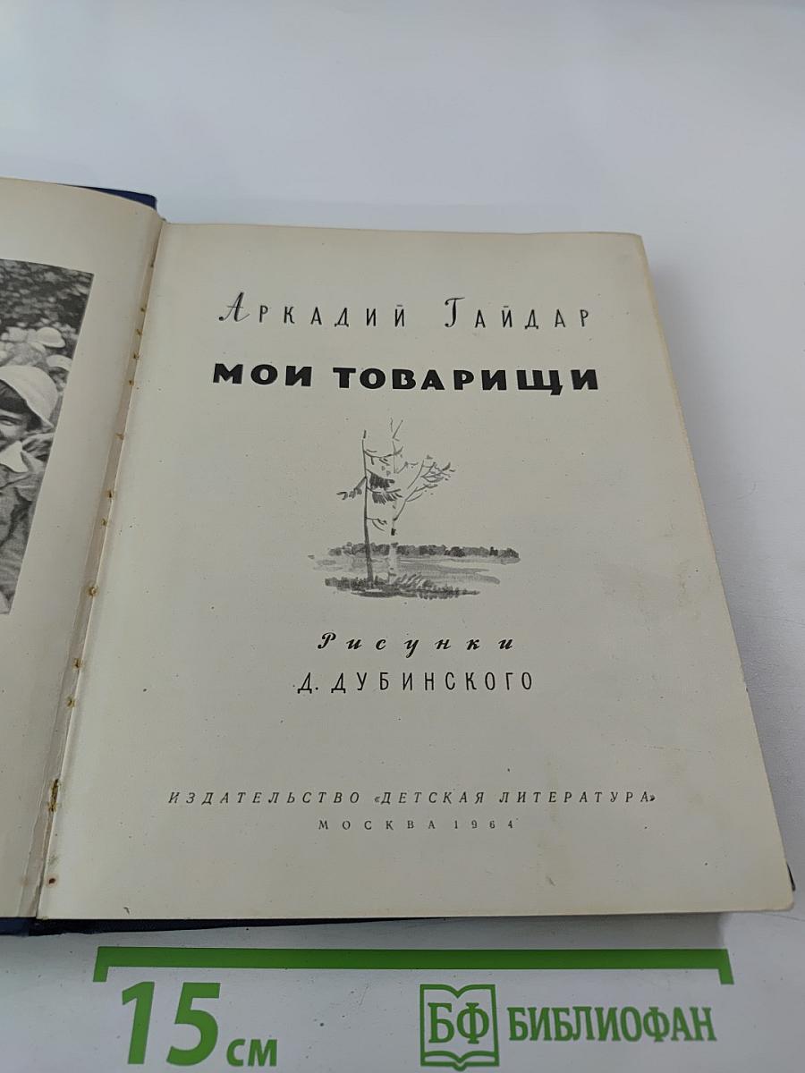 Мои товарищи