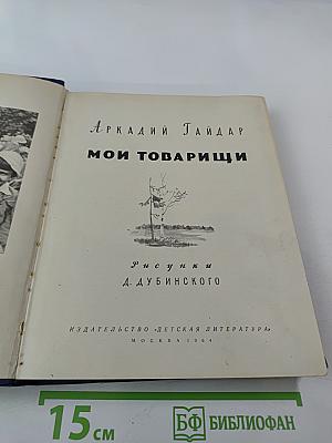 Мои товарищи