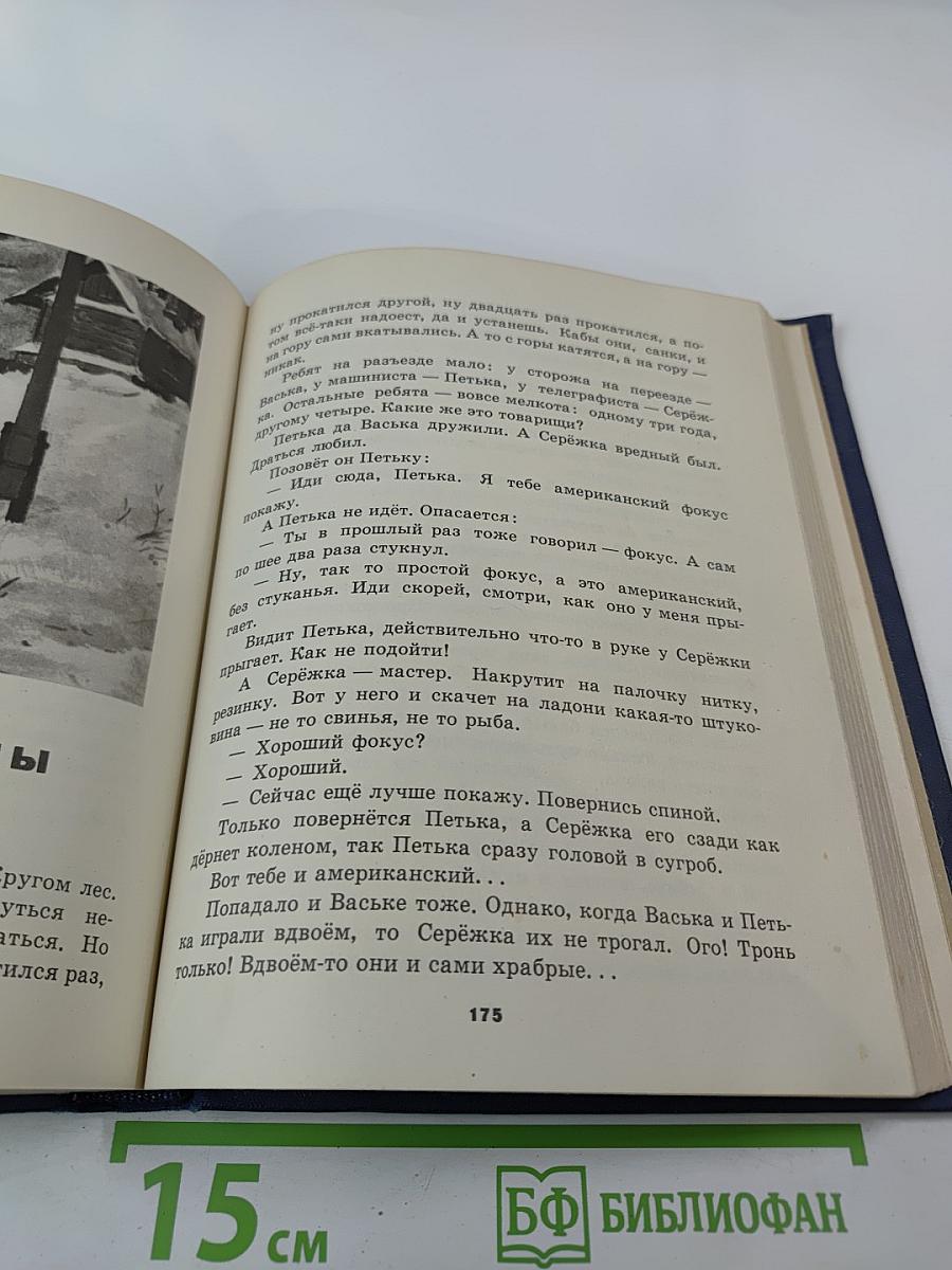 Мои товарищи