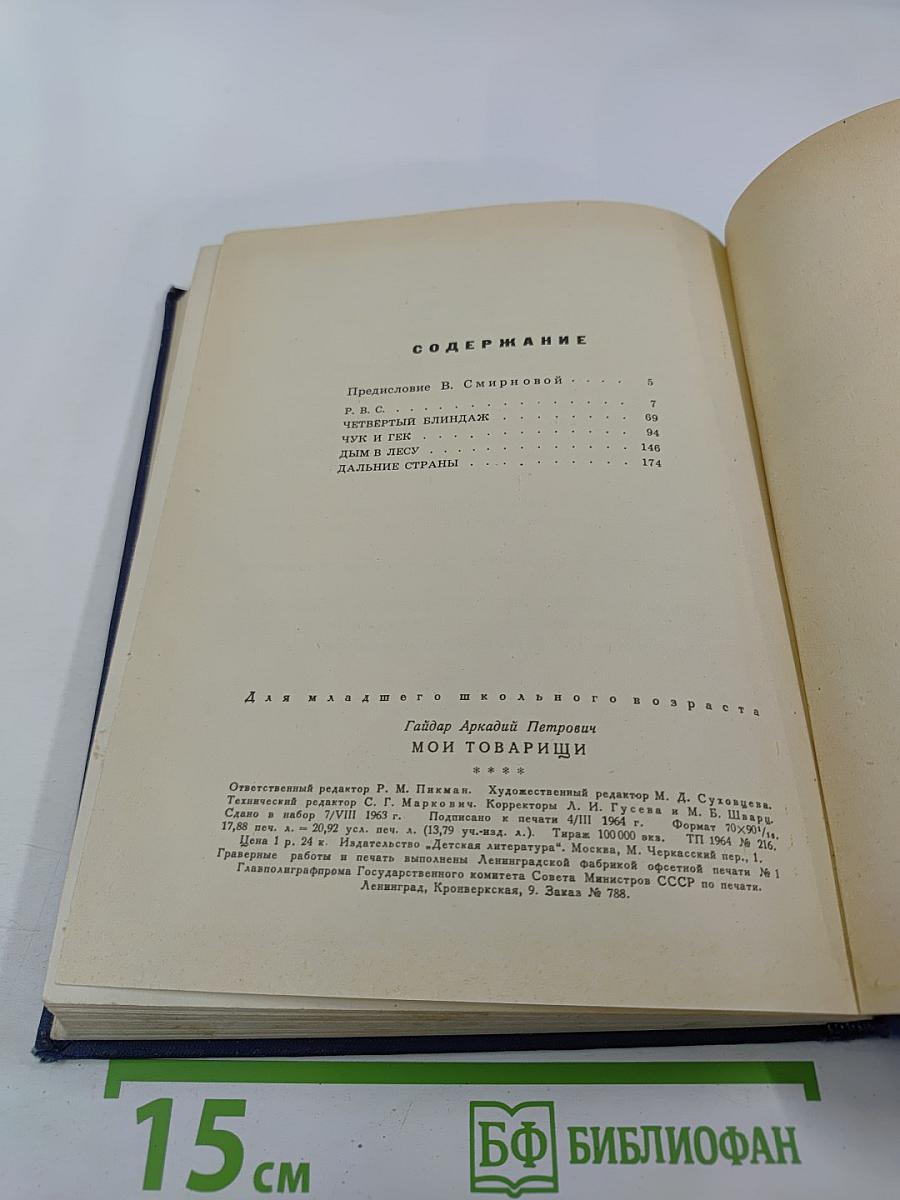 Мои товарищи