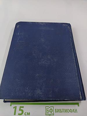 Мои товарищи