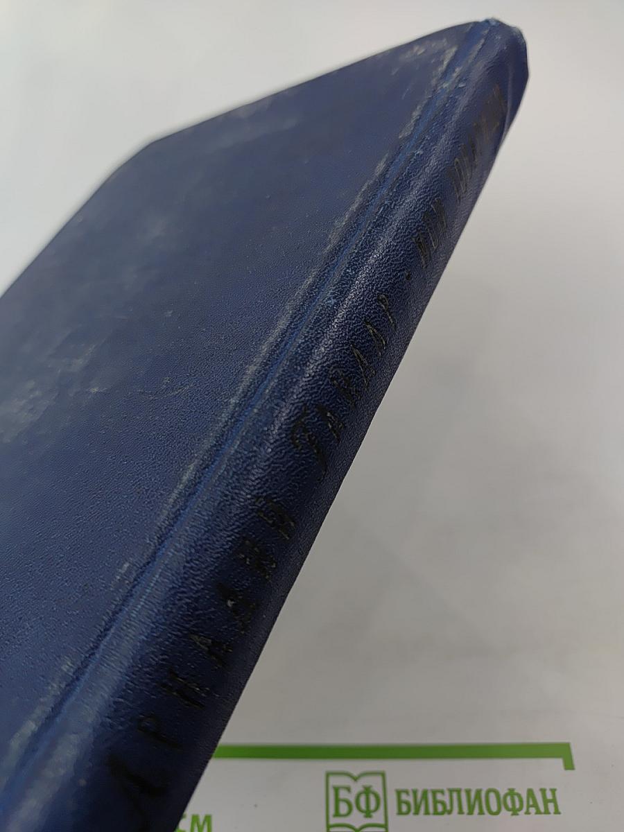 Мои товарищи