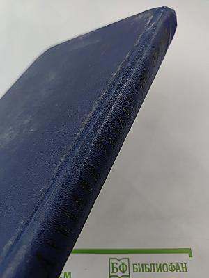 Мои товарищи