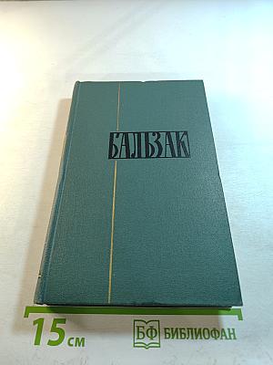 Человеческая комедия. Том 19