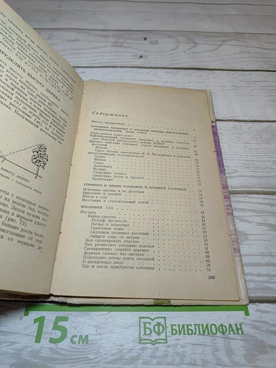 Практические советы по садоводству