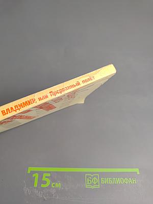 Владимир, или Прерванный полет