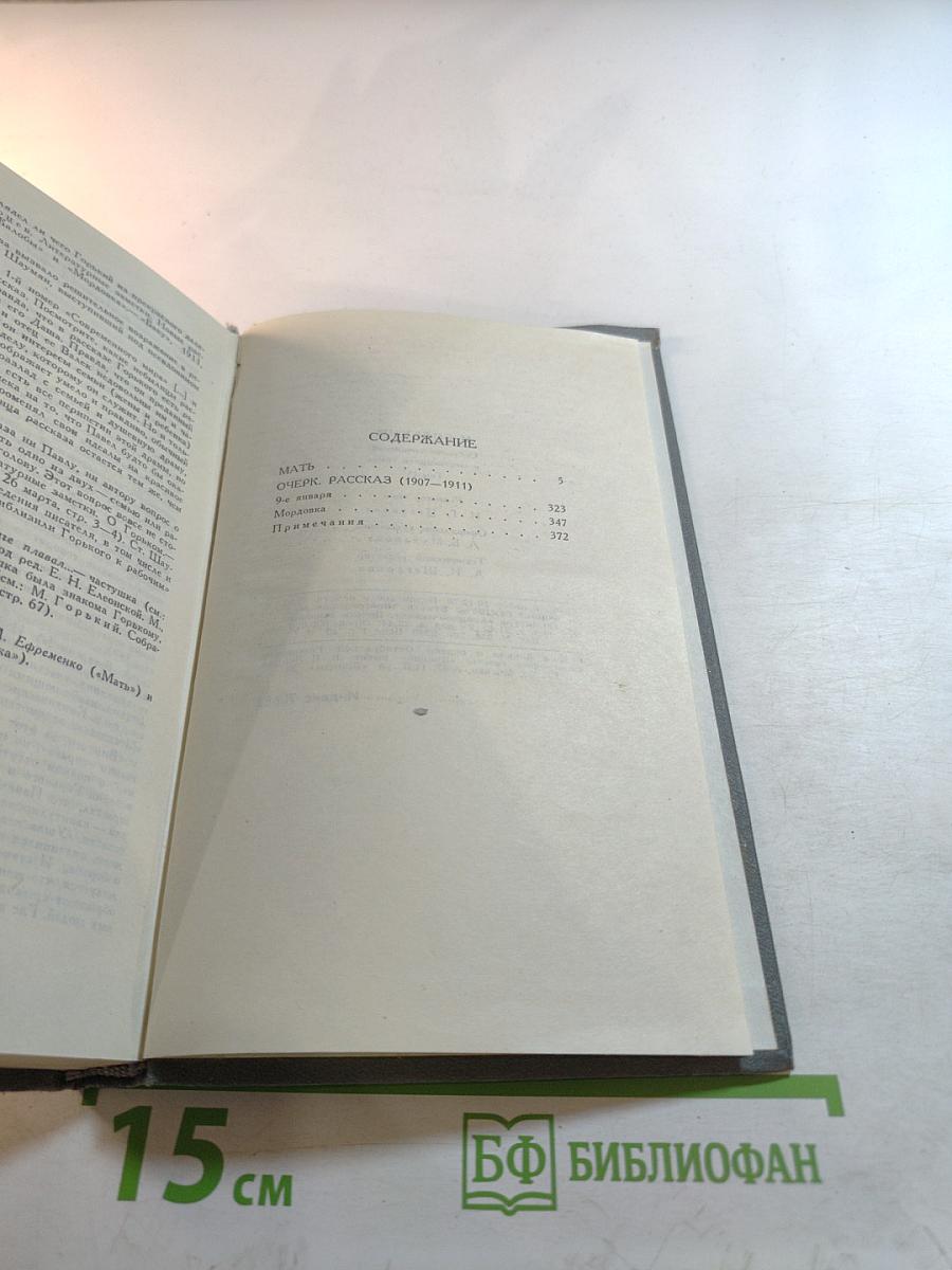 Мать. Очерк. Рассказ. Воспоминания (Собрание сочинений в 16 томах. Том 4)