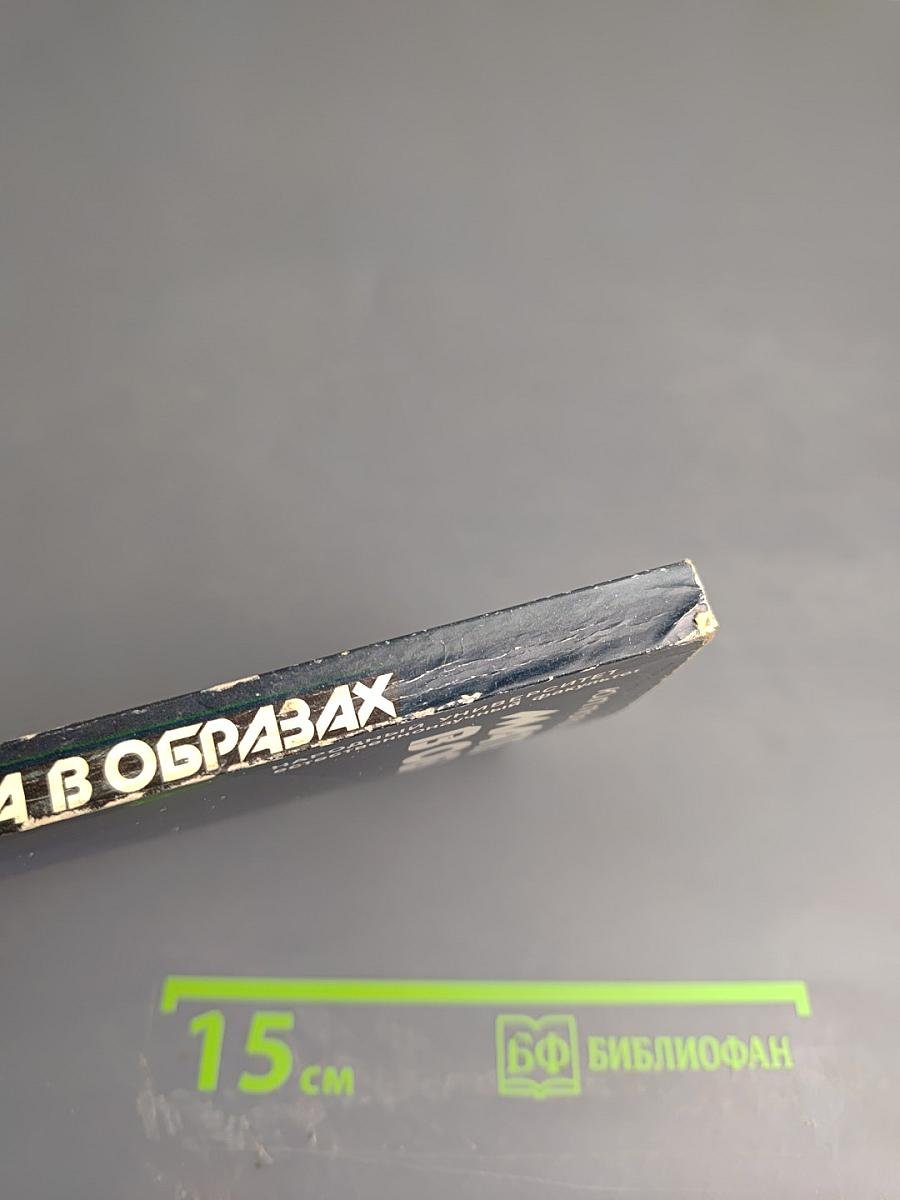 Математика в образах