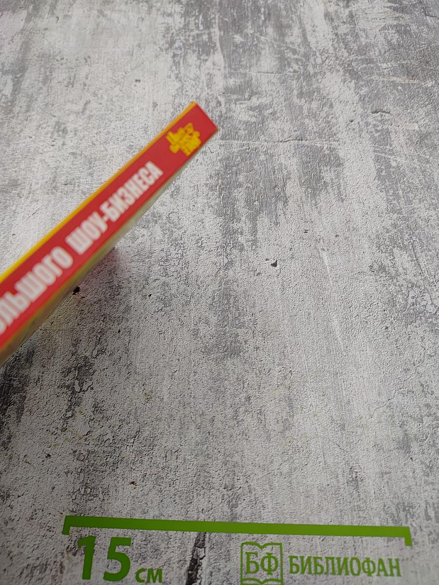 Маленькие секреты большого шоу-бизнеса. Продвижение артиста на музыкальном рынке России