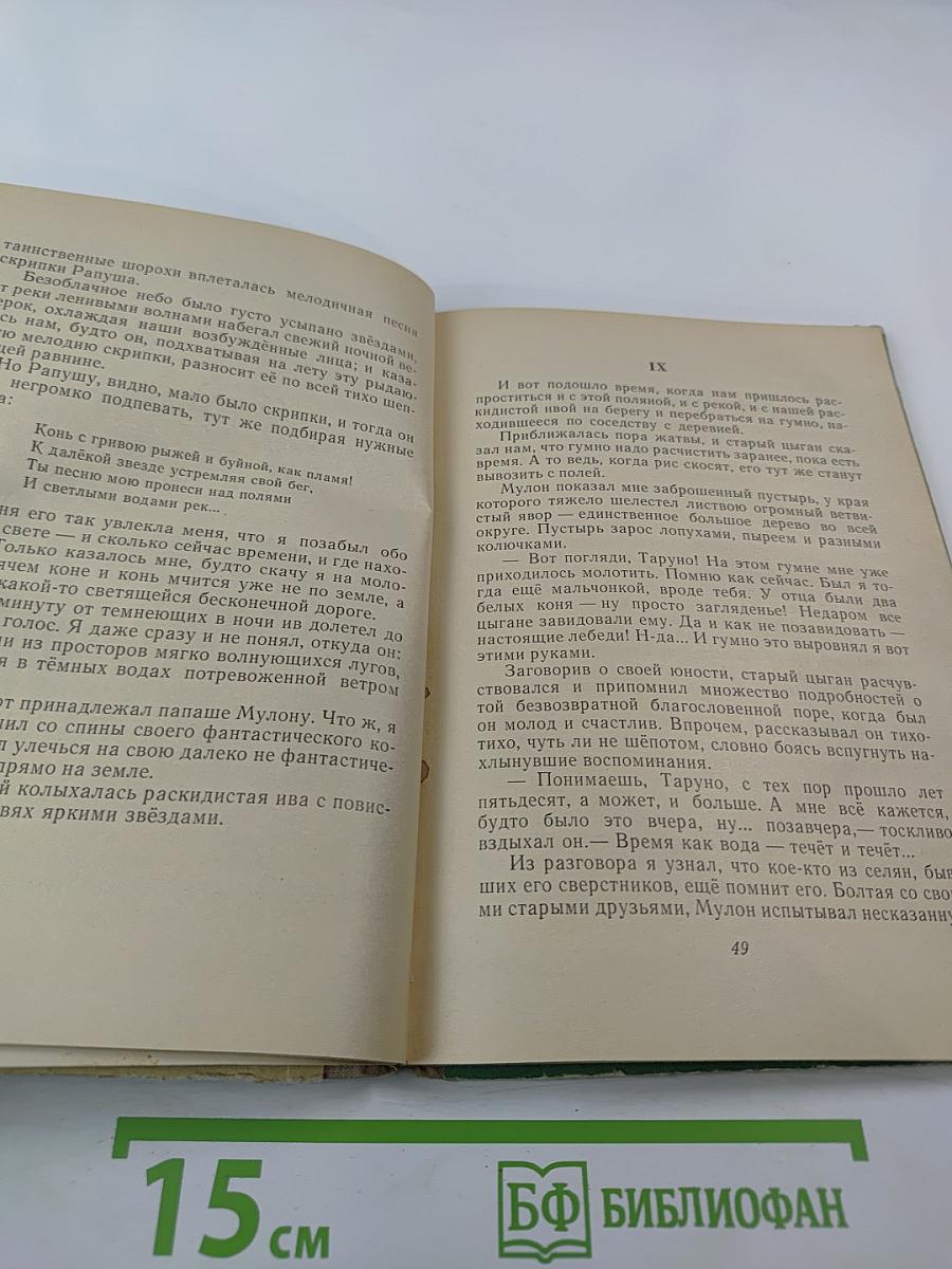 Белый цыганёнок