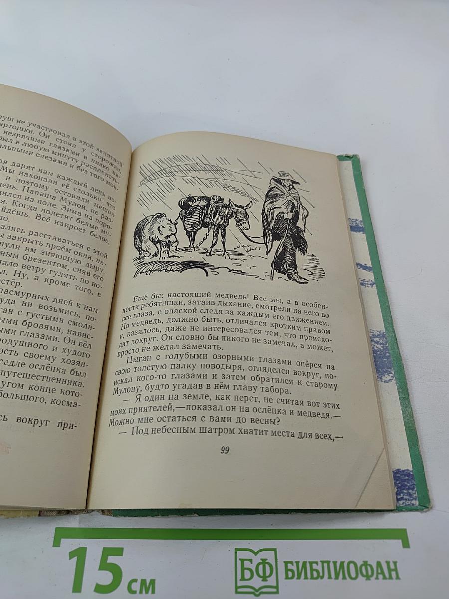 Белый цыганёнок