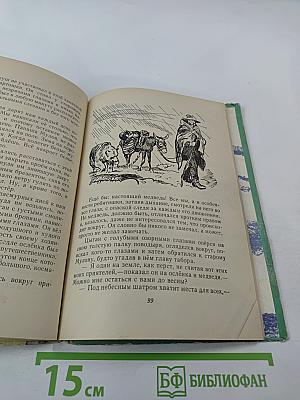 Белый цыганёнок