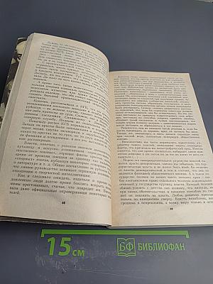 Миф о застое