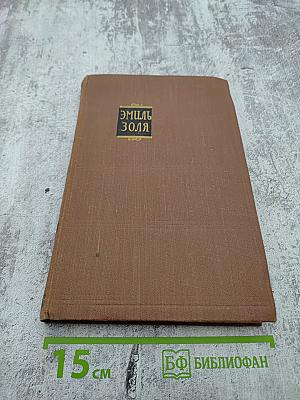 Завоевание Плассана. Том 3