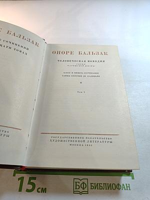 Человеческая комедия. Том 9. Блеск и нищета куртизанок. Тайны княгини де Кадиньян