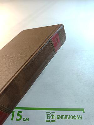 Человеческая комедия. Том 9. Блеск и нищета куртизанок. Тайны княгини де Кадиньян