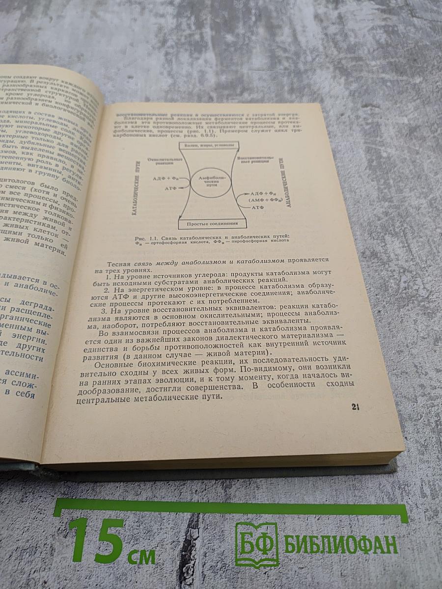 Основы биохимии