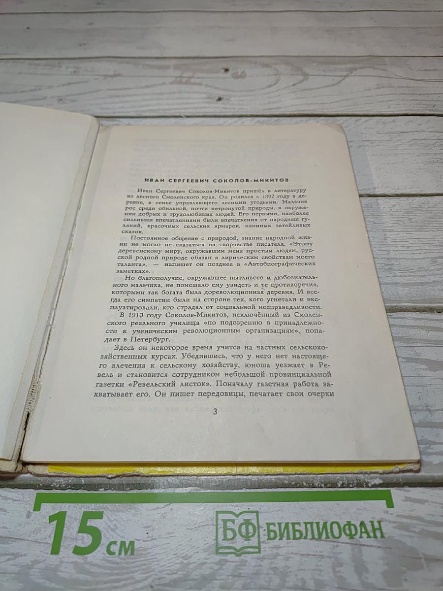 От весны до весны