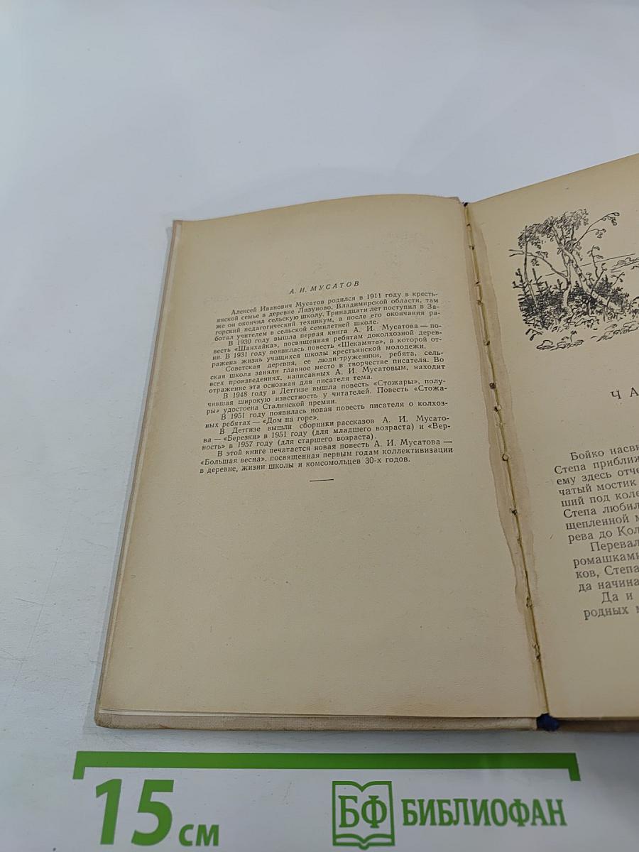 Большая весна