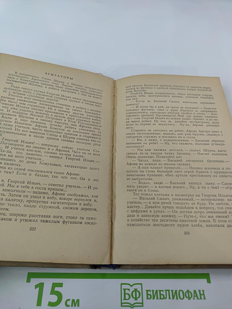 Большая весна