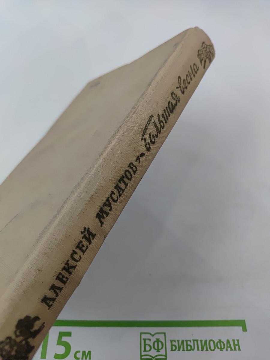 Большая весна