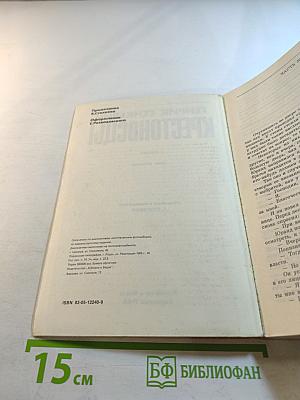 Крестоносцы. Том второй