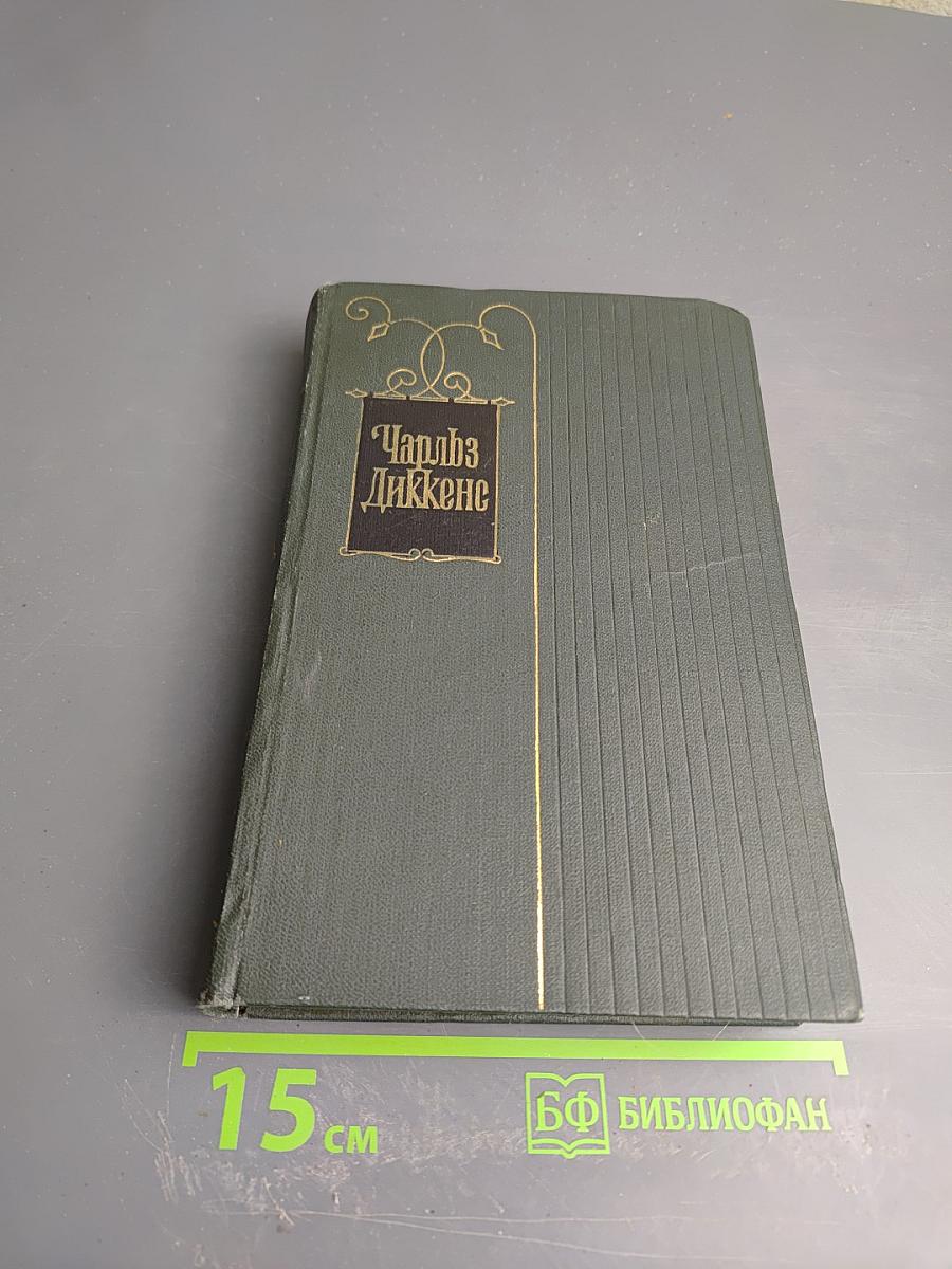 Собрание сочинений. Том четырнадцатый. Торговый дом Домби и сын (Главы XXXI-LXII)