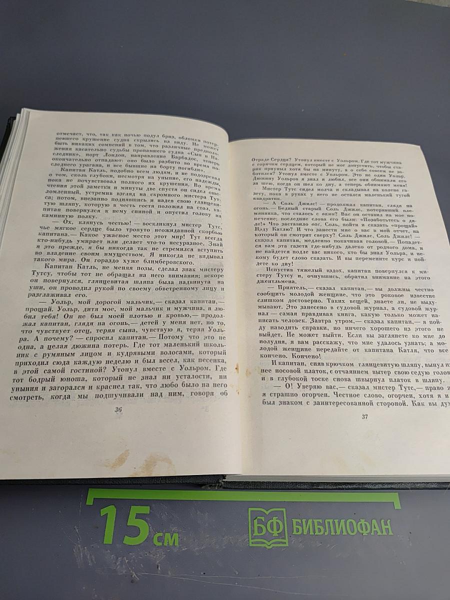 Собрание сочинений. Том четырнадцатый. Торговый дом Домби и сын (Главы XXXI-LXII)