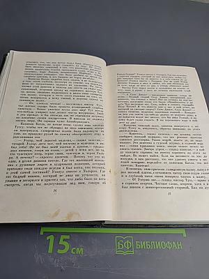 Собрание сочинений. Том четырнадцатый. Торговый дом Домби и сын (Главы XXXI-LXII)