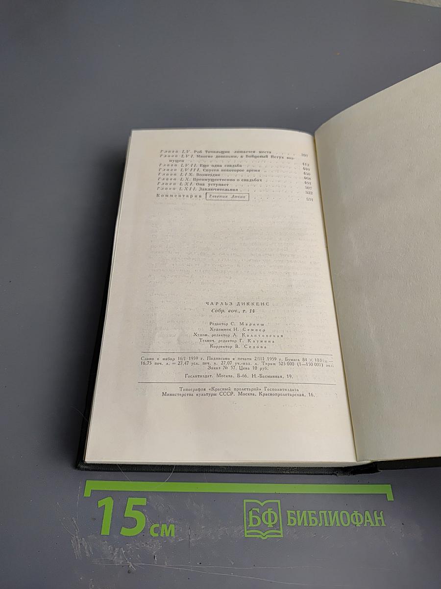 Собрание сочинений. Том четырнадцатый. Торговый дом Домби и сын (Главы XXXI-LXII)