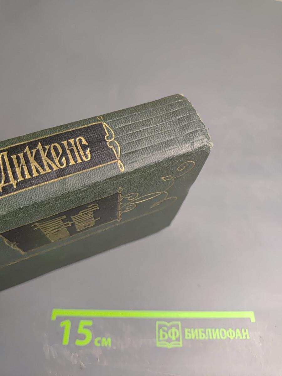 Собрание сочинений. Том четырнадцатый. Торговый дом Домби и сын (Главы XXXI-LXII)