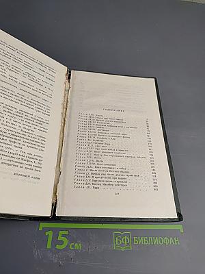 Собрание сочинений. Том шестнадцатый. Жизнь Дэвида Копперфилда, рассказанная им самим. Роман (Главы XXX-LXIV)