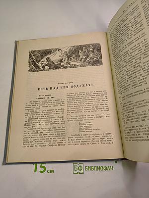 Два капитана