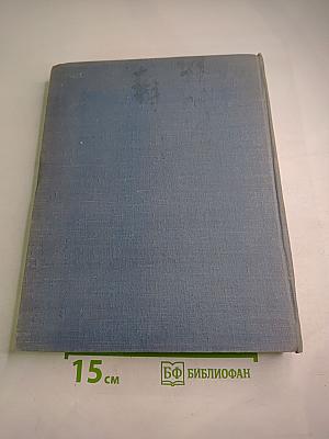 Два капитана