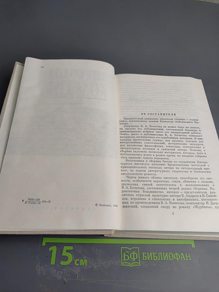 Публицистика. Воспоминания современников